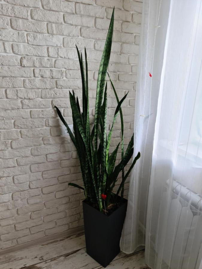 Prime Apartments Grodno Ngoại thất bức ảnh